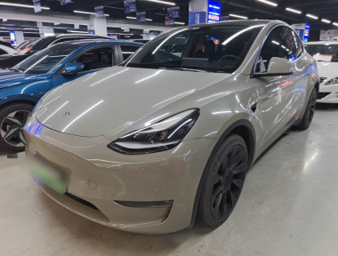 Tesla Model Y 2021 car image 