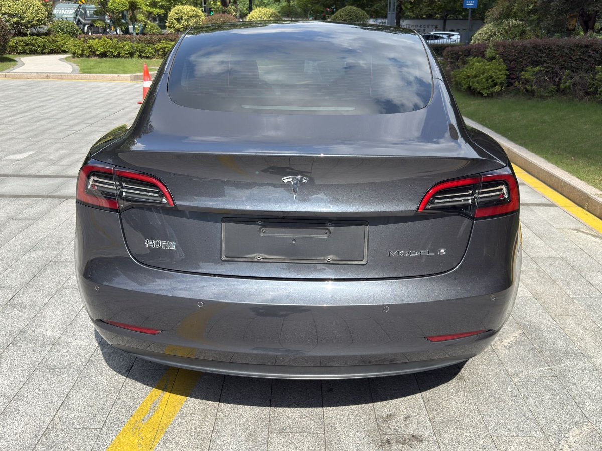Tesla Model 3 2021 #6 Tesla Model 3 2021 car image #6