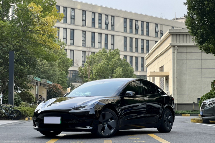 Tesla Model 3 2023 imagem de carro #2