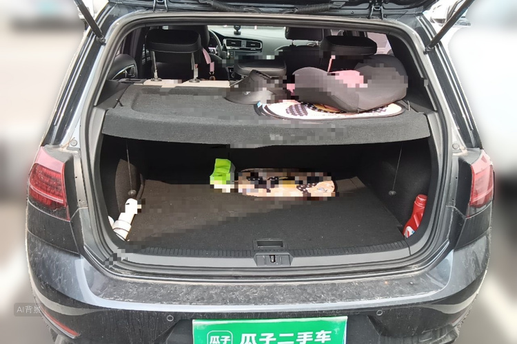 Volkswagen Golf 2019 car image #21