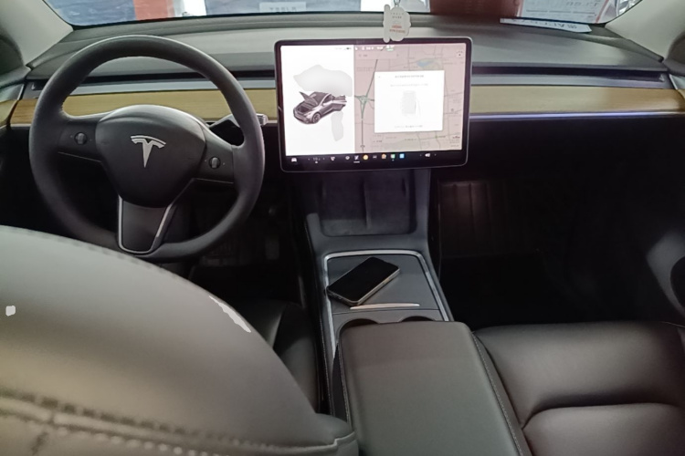 Tesla Model Y 2021 #10 Tesla Model Y 2021 car image #10