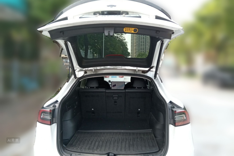 Tesla Model Y 2021 car image #21