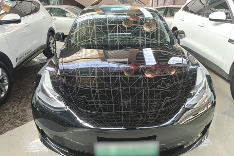Tesla Model 3 2021 #3 Tesla Model 3 2021 car image #3