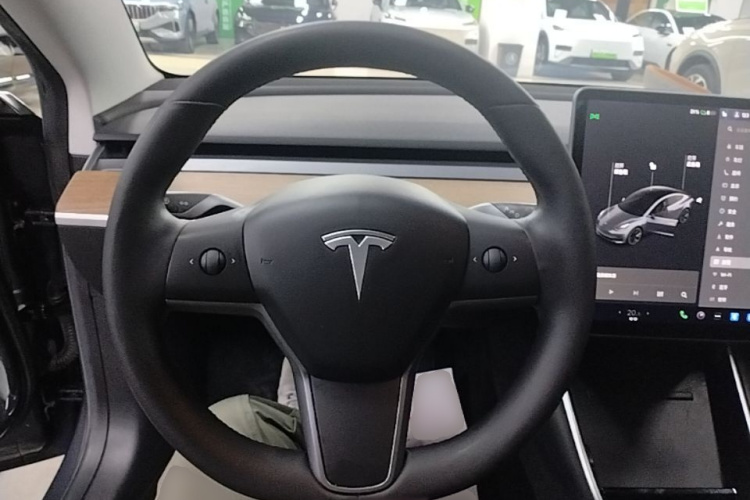 Tesla Model 3 2020 #11 Tesla Model 3 2020 car image #11