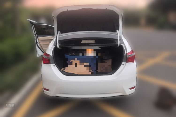 Toyota Corolla 2016 car image #21