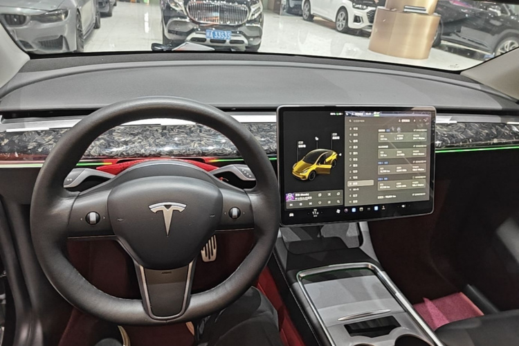 Tesla Model Y 2021 #10 Tesla Model Y 2021 car image #10