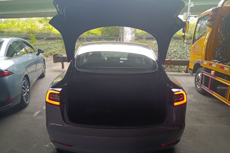 Tesla Model 3 2020 #19 Tesla Model 3 2020 immagine di auto #19