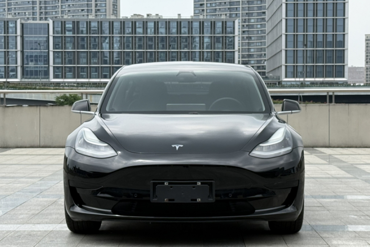 Tesla Model 3 2020 car image #10