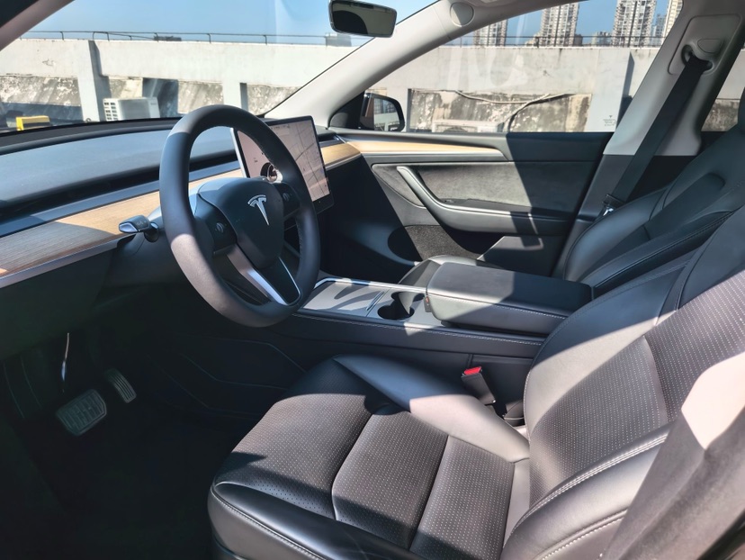 Tesla Model Y 2021 car image #7