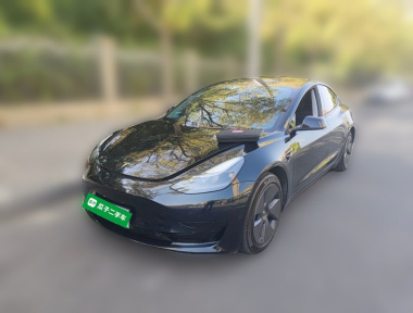 Tesla Model 3 2022 Tesla Model 3 2022 car image