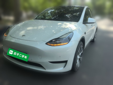 Tesla Model Y 2023 Tesla Model Y 2023 car image