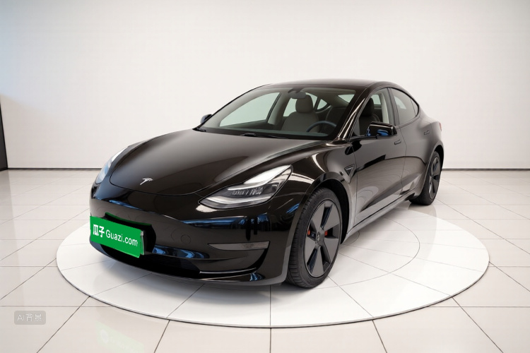 Tesla Model 3 2022 #2 Tesla Model 3 2022 car image #2