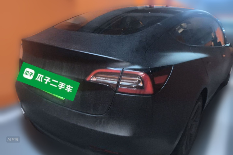 Tesla Model 3 2021 car image #6