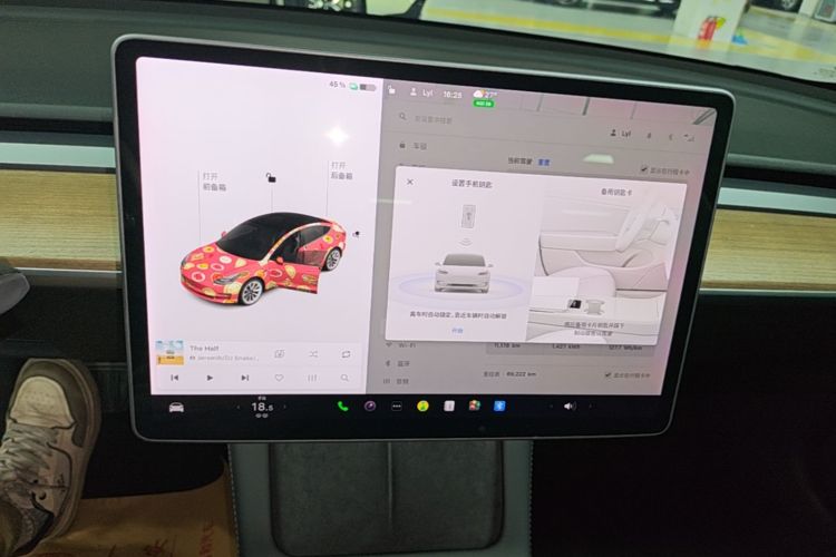 Tesla Model 3 2021 car image #19