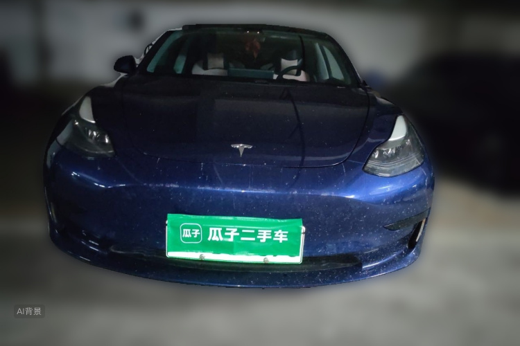 Tesla Model 3 2020 #3 Tesla Model 3 2020 car image #3