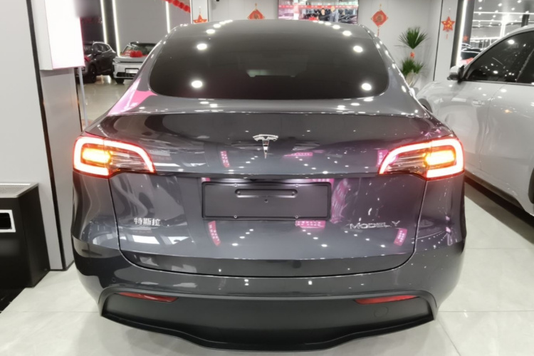 Tesla Model Y 2023 #6 Tesla Model Y 2023 car image #6