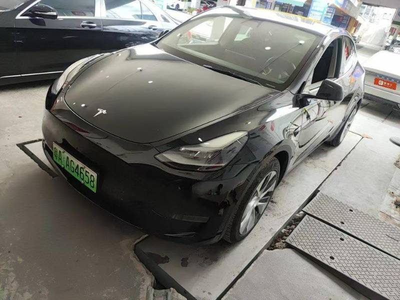 Tesla Model Y 2021 Tesla Model Y 2021 car image