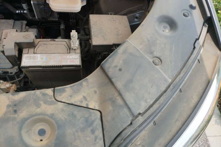 BYD YuanUP 2024 immagine di auto #24