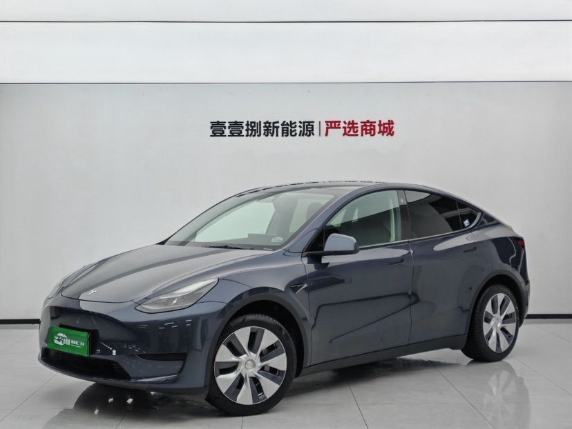 Tesla Model Y 2022 car image 