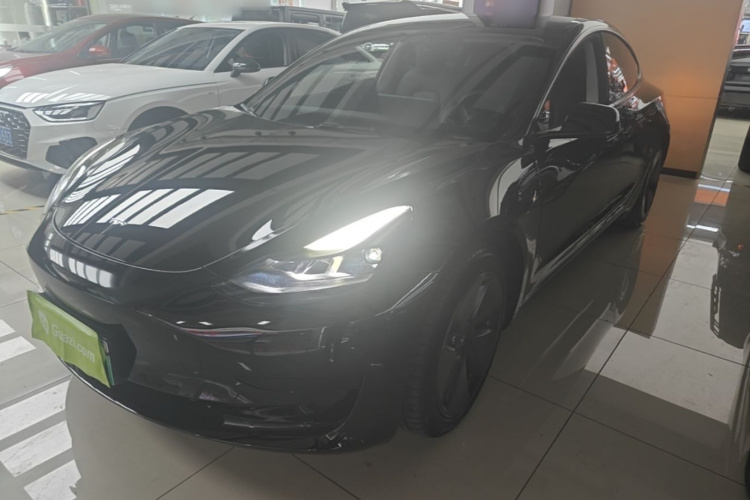 Tesla Model 3 2022 immagine di auto #2
