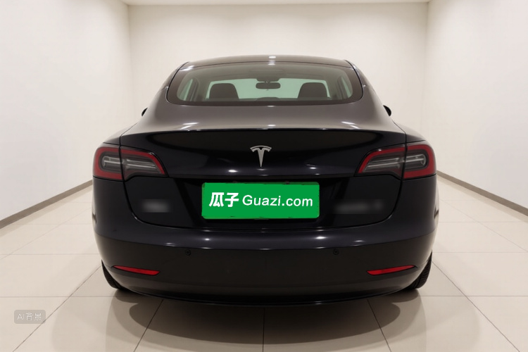 Tesla Model 3 2023 car image #6
