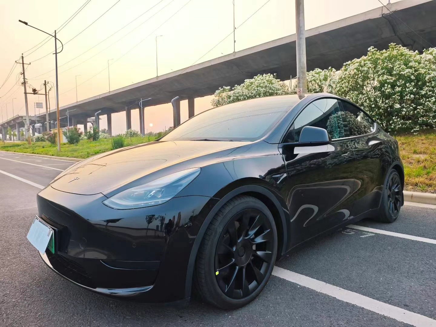 Tesla Model Y 2022 Tesla Model Y 2022 car image