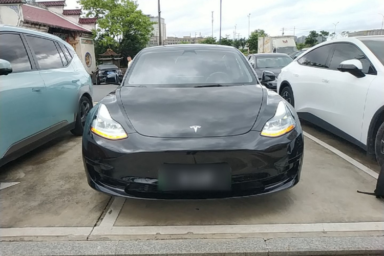 Tesla Model 3 2023 #3 Tesla Model 3 2023 car image #3