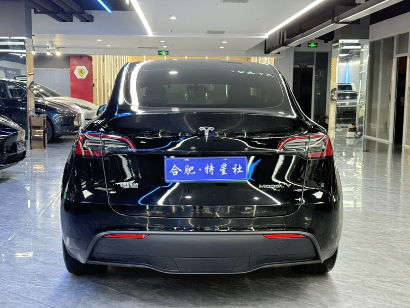 Tesla Model Y 2021 #8 Tesla Model Y 2021 car image #8