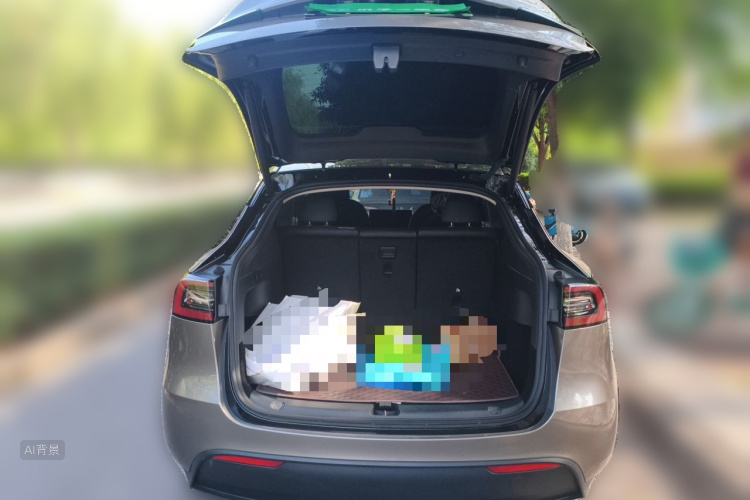 Tesla Model Y 2023 #21 Tesla Model Y 2023 car image #21
