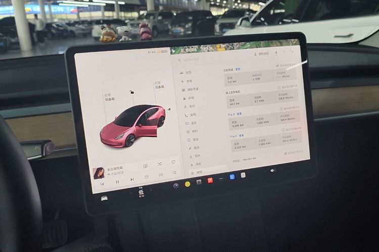 Tesla Model 3 2021 car image #13