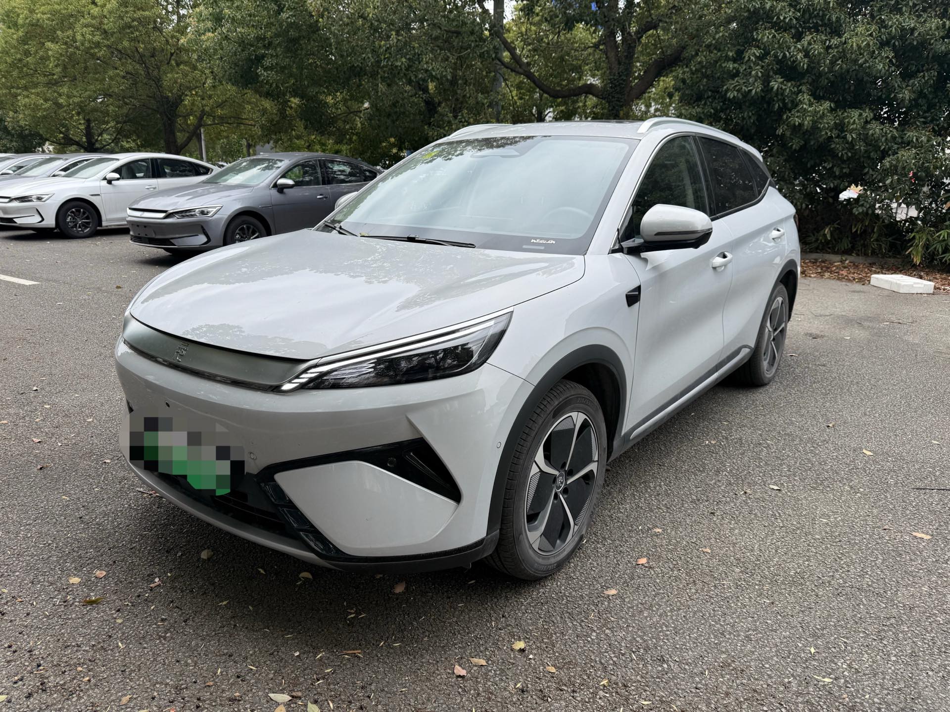 BYD Yuan Plus 2025 汽车图片 