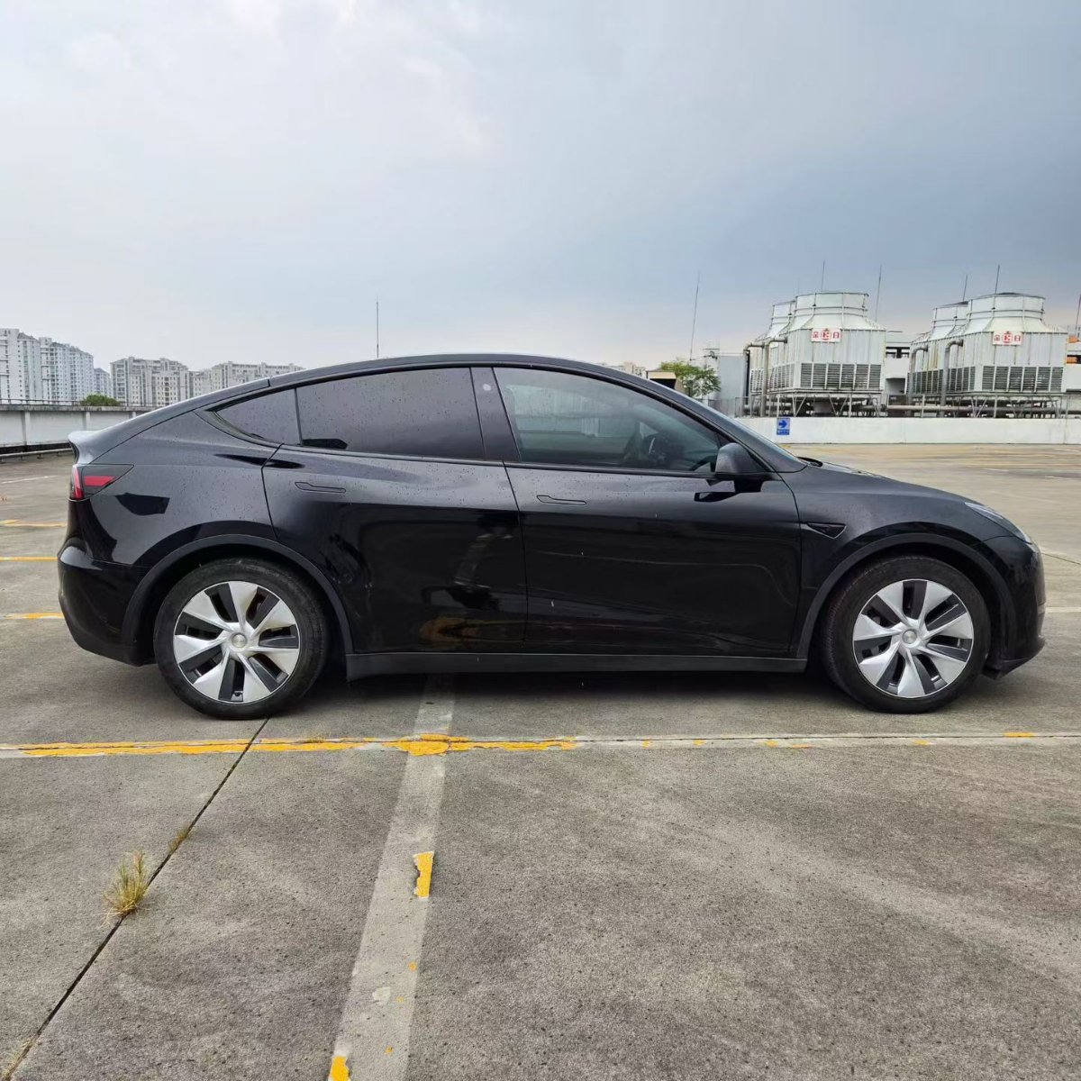 Tesla Model Y 2024 car image #3