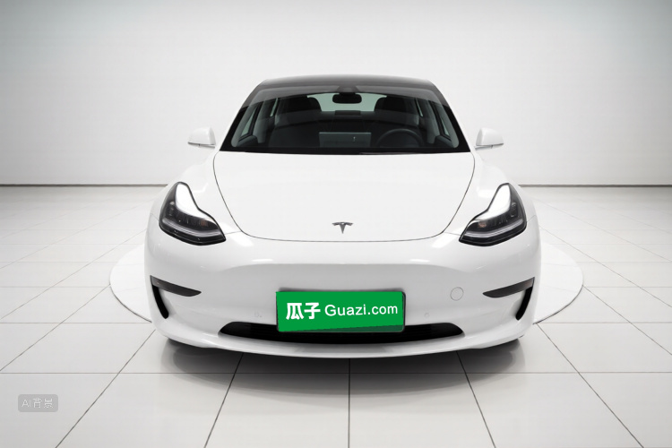 Tesla Model 3 2020 #3 Tesla Model 3 2020 car image #3