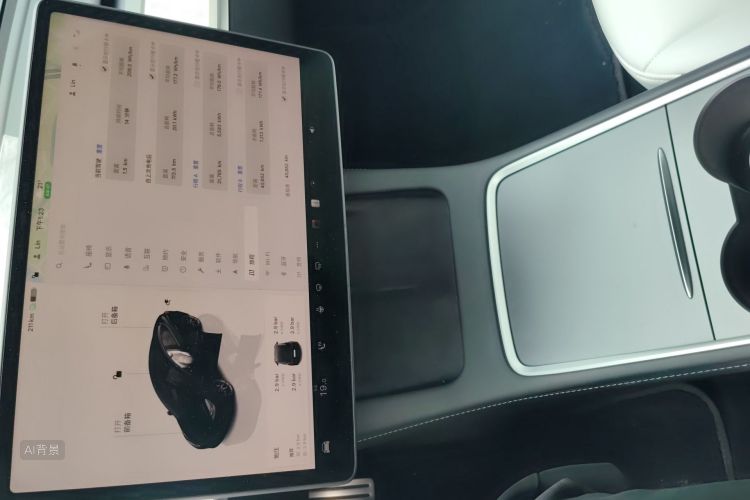 Tesla Model 3 2022 immagine di auto #15