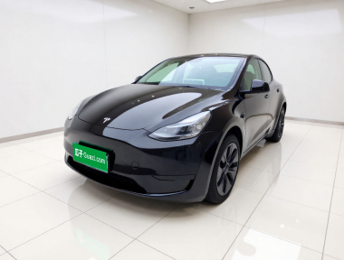 Tesla Model Y 2024 Tesla Model Y 2024 car image
