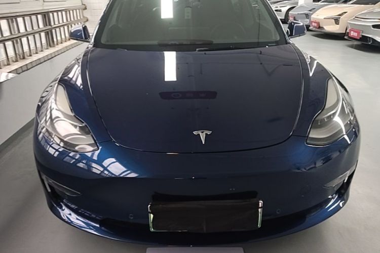Tesla Model 3 2021 #3 Tesla Model 3 2021 car image #3