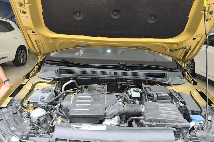 Volkswagen Polo 2019 car image #20