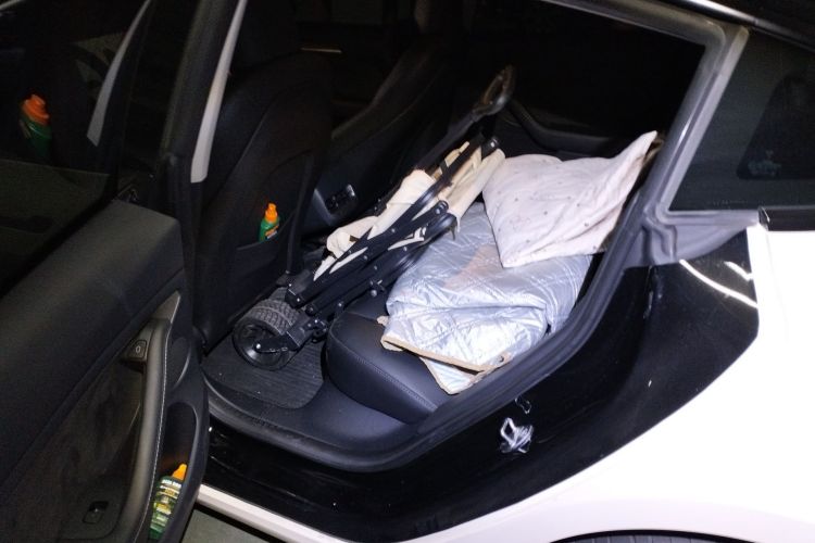 Tesla Model 3 2023 #14 Tesla Model 3 2023 car image #14