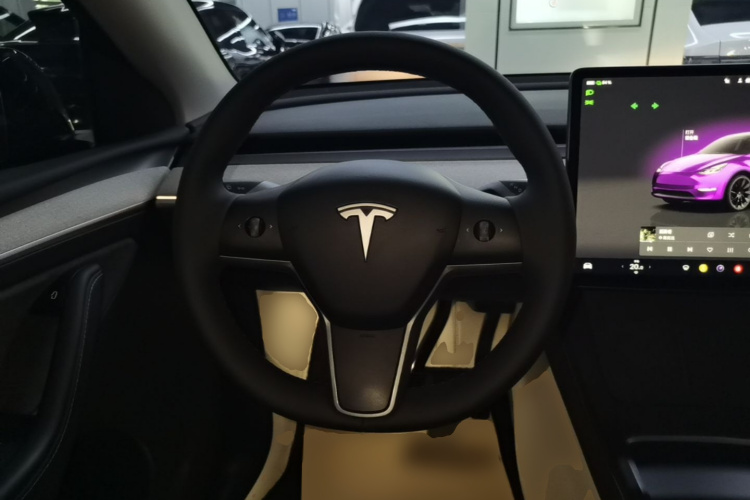 Tesla Model Y 2024 #11 Tesla Model Y 2024 صورة سيارة #11