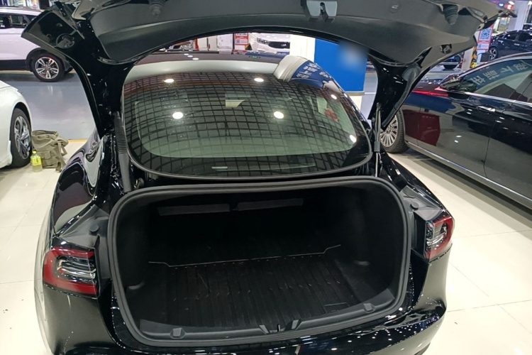 Tesla Model 3 2022 #19 Tesla Model 3 2022 car image #19