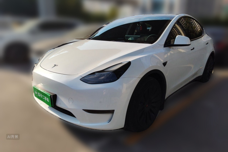 Tesla Model Y 2021 #2 Tesla Model Y 2021 car image #2