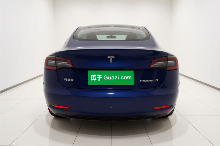 Tesla Model 3 2021 car image #6