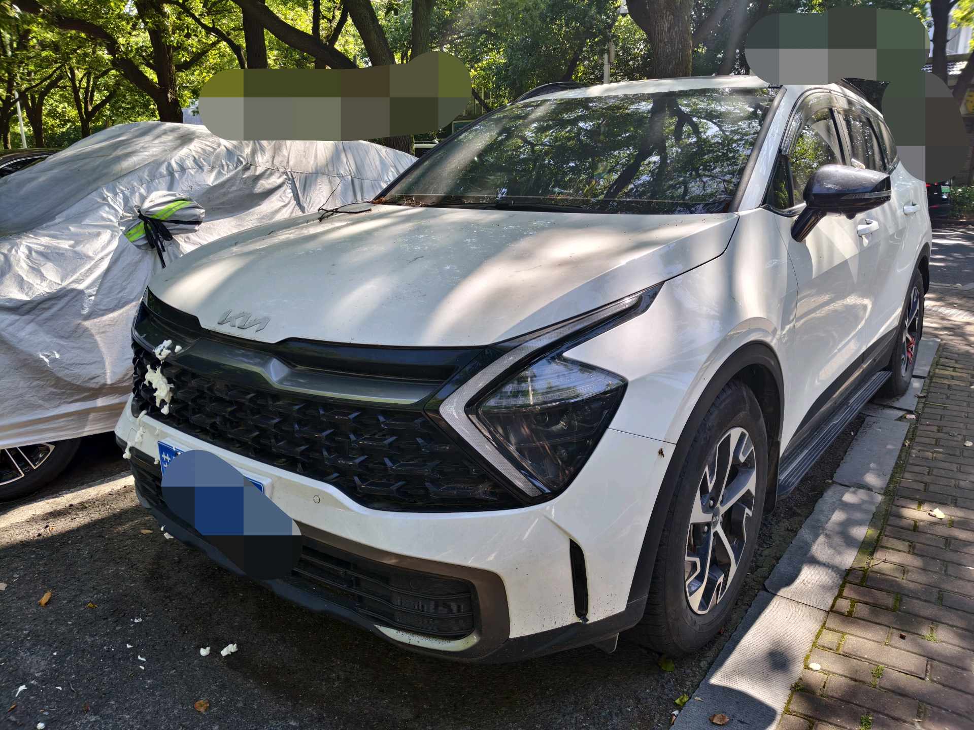 Kia Sportage 2023 car image 