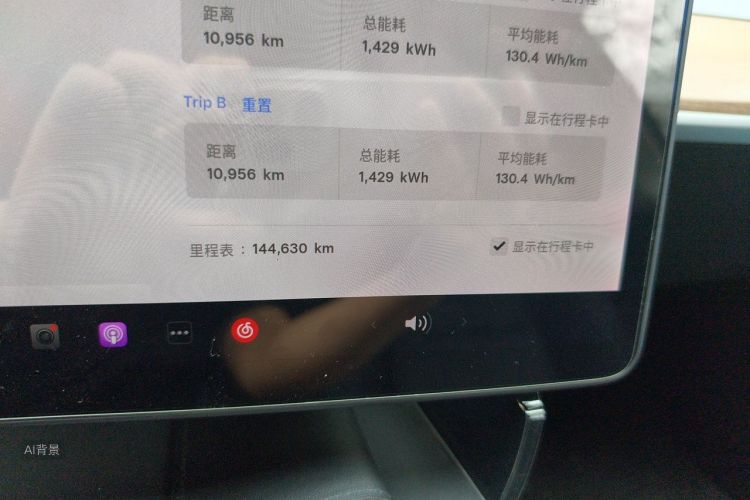 Tesla Model 3 2021 car image #14