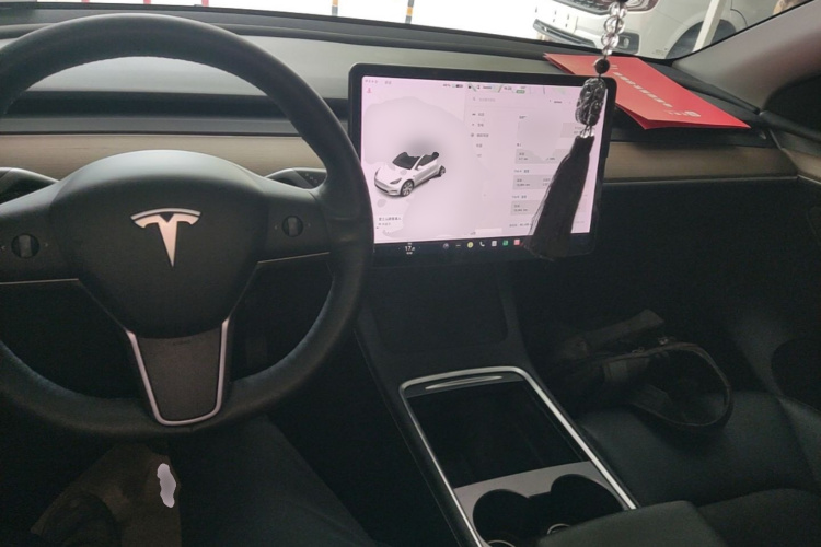 Tesla Model Y 2021 car image #10