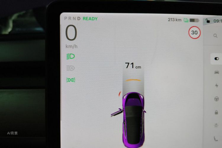 Tesla Model 3 2020 #13 Tesla Model 3 2020 car image #13