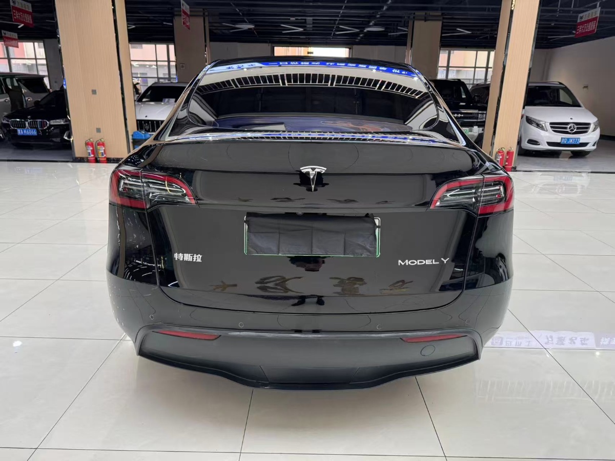 Tesla Model Y 2023 #5 Tesla Model Y 2023 car image #5