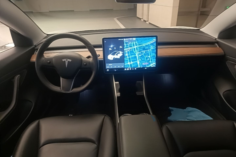 Tesla Model 3 2020 car image #10