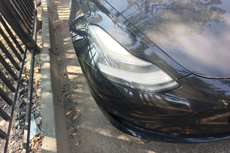 Tesla Model 3 2020 immagine di auto #8