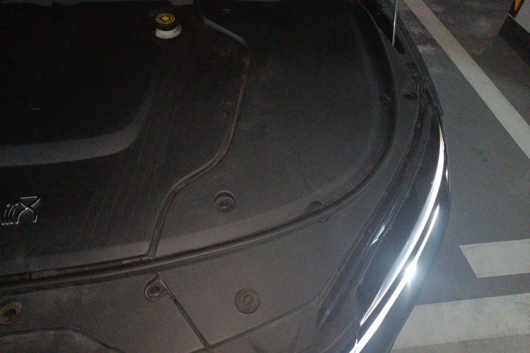 BYD Han 2021 car image #29